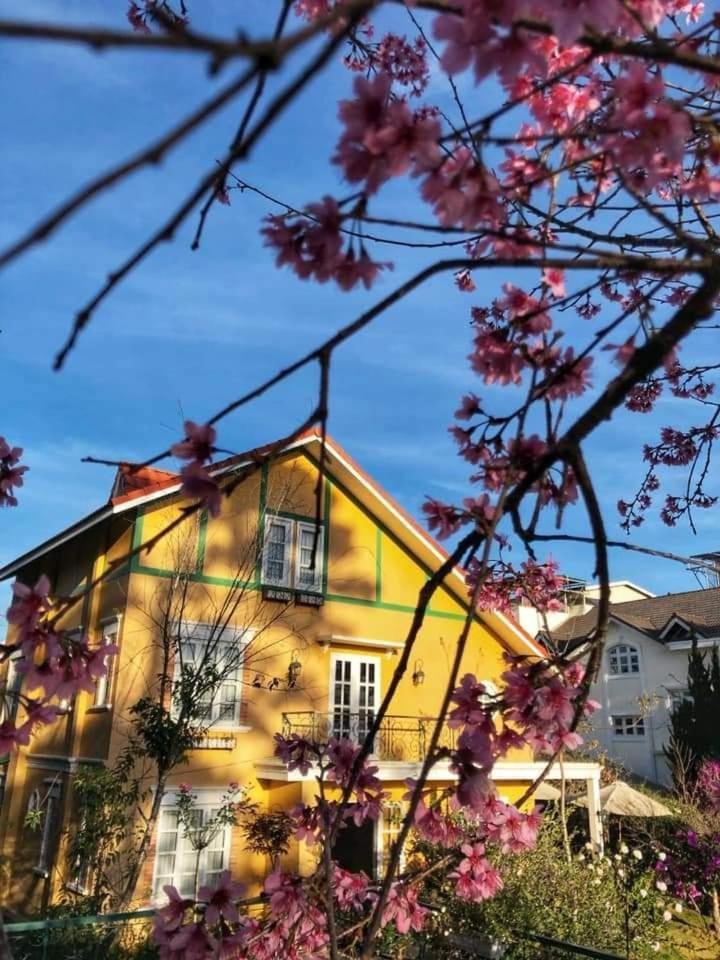 Bich Dao Boutique - Dalat Da Lat Exterior foto