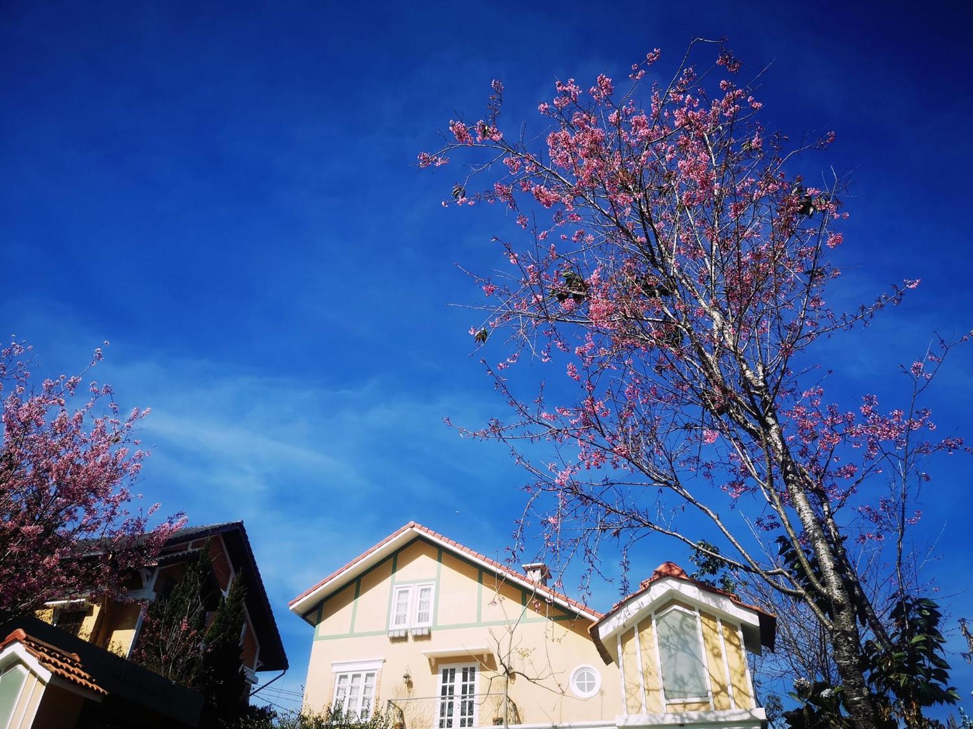 Bich Dao Boutique - Dalat Da Lat Exterior foto